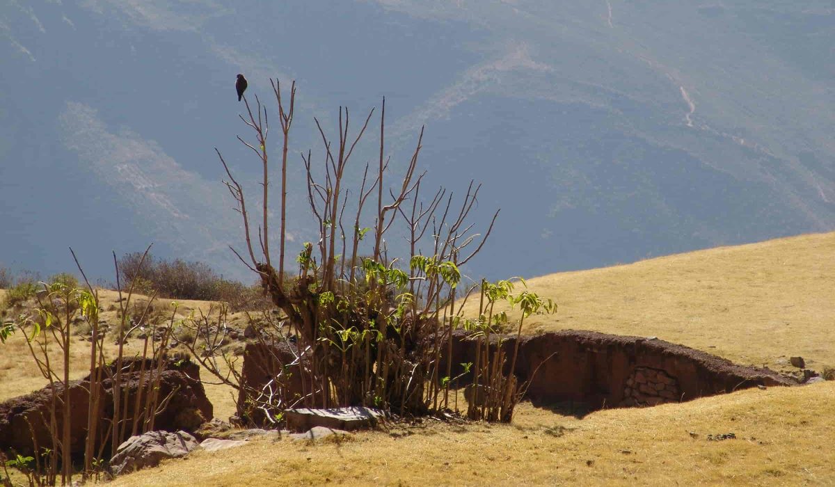 Huchuy Qosqo and Machu Picchu Adventure 3 Days