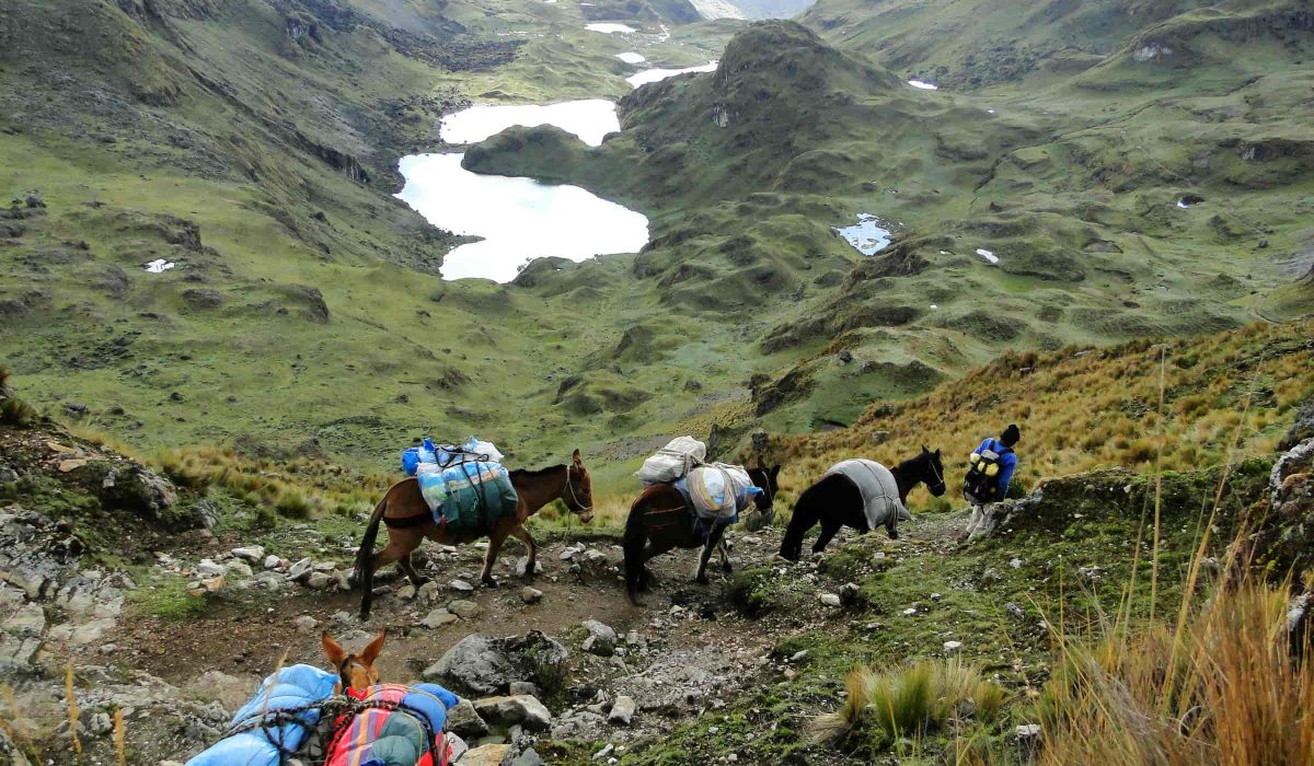 Lares Trek to Machu Picchu 4 days