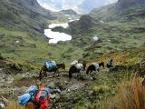 Lares Trek to Machu Picchu 4 days