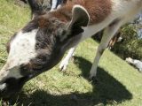 MachuPicchu Tours by Car 3 days