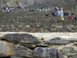 Sacred Valley of the Incas Tour 1 day